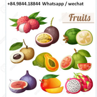 Profile picture of LEE VUONG QUOC